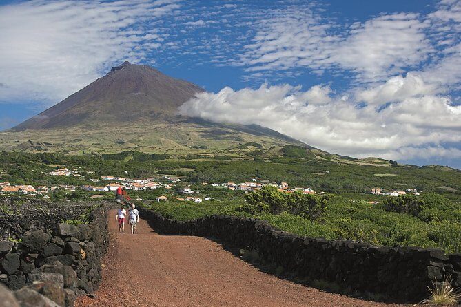 Full-Day Pico Island Tour from Horta - A Practical Look at the Full-Day Pico Island Tour from Horta