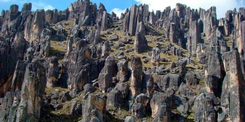 Full Day Pillones Waterfall and Rock Forest - Final Thoughts: Worth the Journey