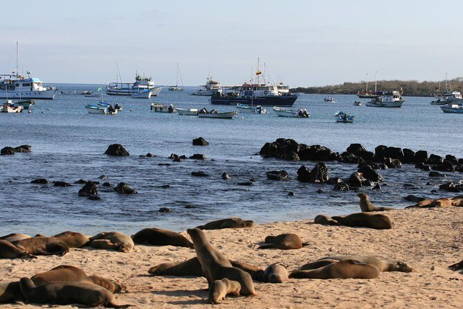 Full-Day Pinzon Island Snorkeling and Fishing - Who Will Love This Tour?