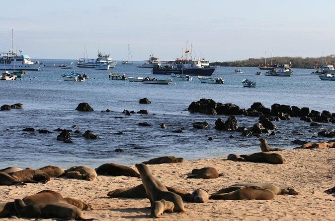 Full-Day Pinzon Island Snorkeling and Fishing - FAQ