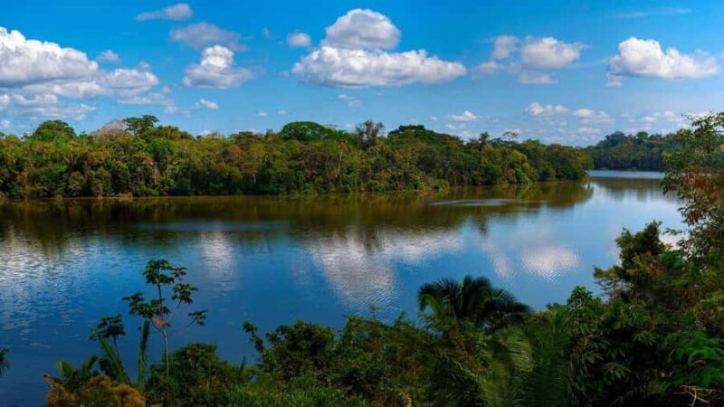 FULL DAY|| Piranha Fishing Excursion in Tambopata - Piranha Fishing Excursion in Tambopata: An Authentic Amazon Adventure