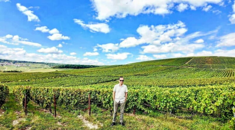 Full Day Pommery Small Group Tour - The Itinerary in Detail
