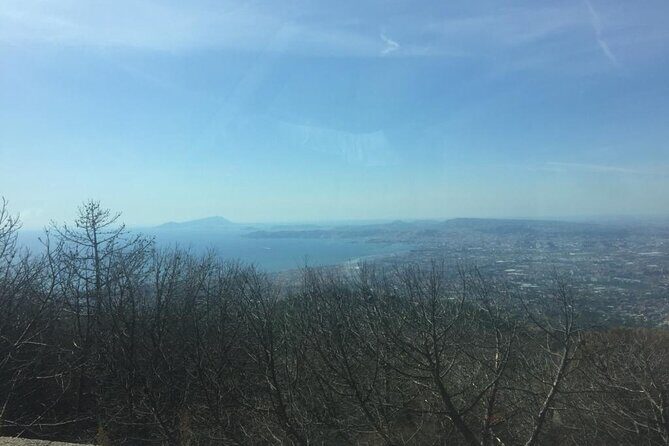 Full-Day Pompeii And Mt.Vesuvius Hike from Naples - FAQ