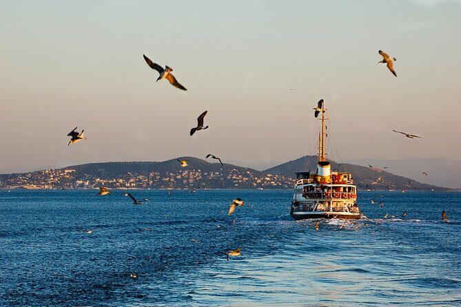 Full-Day Princes Island Tour with Lunch from Istanbul - Who Will Love This Tour