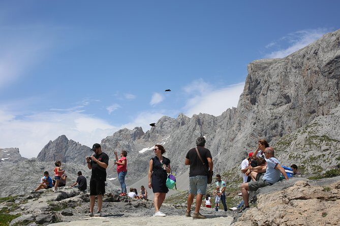 Full Day Private 4WD Tour from Bilbao to Picos de Europa. Fine meals. - FAQ