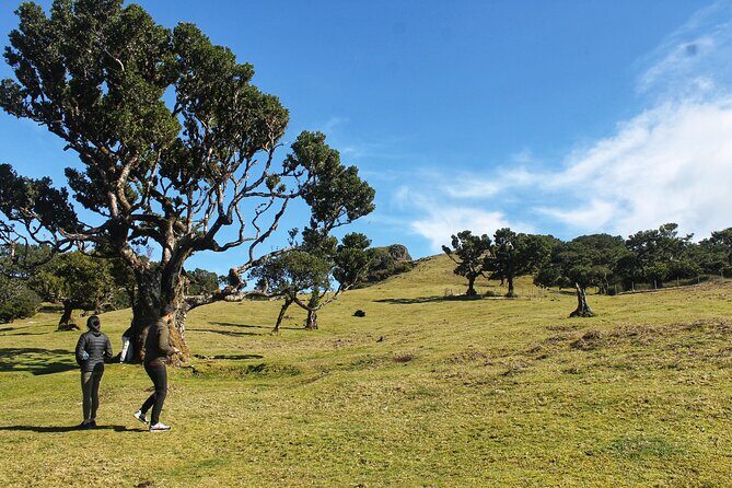 Full Day Private 4x4 Tour in West Madeira with Local Guide - Key Points