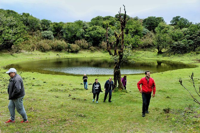 Full Day Private 4x4 Tour in West Madeira with Local Guide - Who Would Love This Tour?