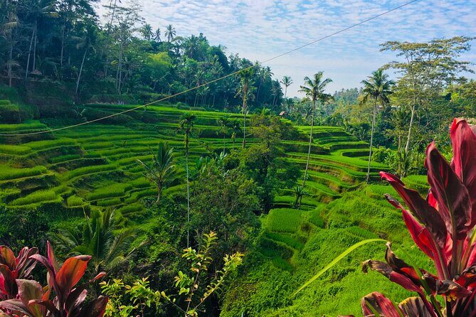 Full-Day Private and Guided Tour Around Ubud - Analyzing the Experience: Is It Worth It?