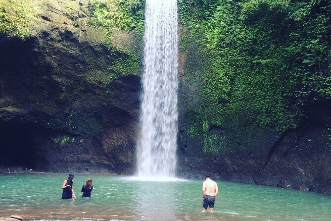Full-Day Private and Guided Tour Around Ubud - Final Thoughts: Who Will Love This Tour?