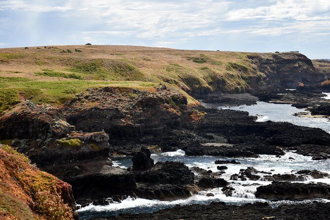Full-Day Private Australian Wildlife Tour of Phillip Island - The Experience Through the Eyes of Past Travelers