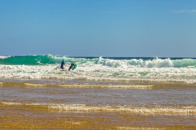 Full-Day Private Australian Wildlife Tour of Phillip Island - Why This Tour Is a Great Value