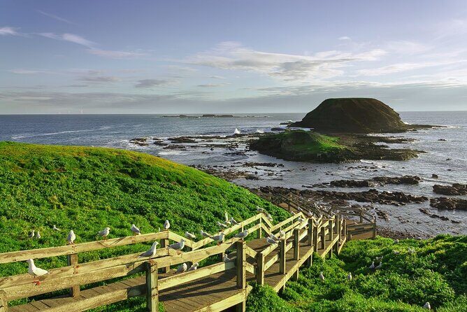 Full-Day Private Australian Wildlife Tour of Phillip Island - Who Should Consider This Tour?