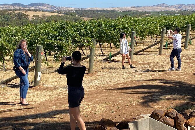 Full-Day Private Barossa Valley Wine Bus Tour - Frequently Asked Questions