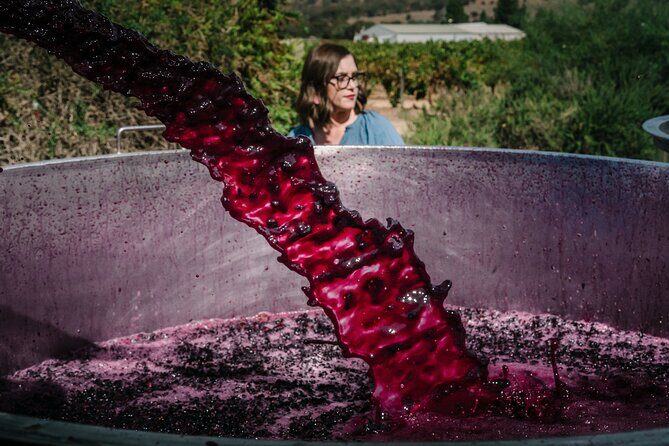 Full Day Private Barossa Valley Wine Tour - Key Points