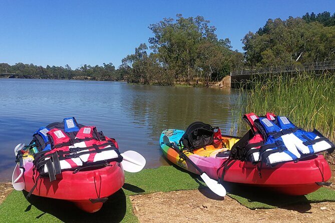 Full-Day Private Barossa Valley Wine Tour from Angaston - In Summary: Is This Tour for You?