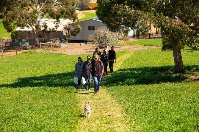 Full-Day Private Barossa Valley Wine Tour from Angaston - Frequently Asked Questions
