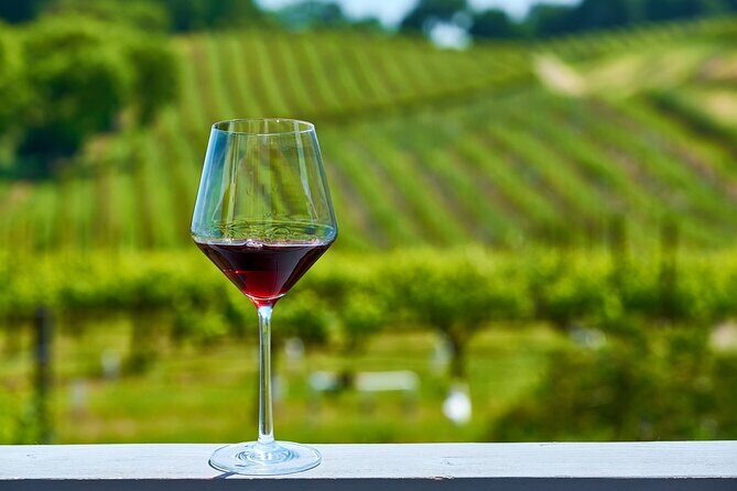 Full-Day Private Barossa Valley Wine Tour from Angaston - Final Thoughts