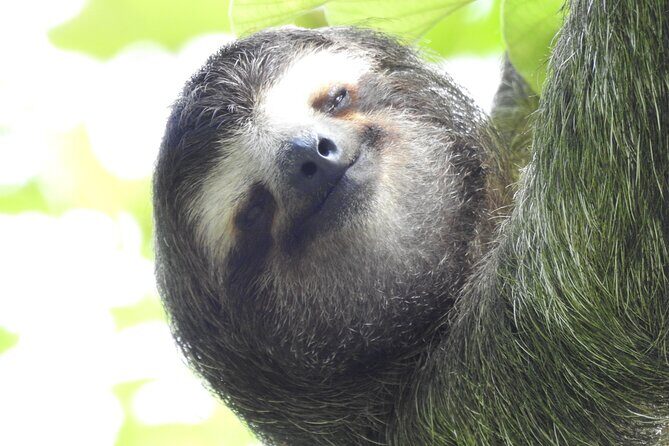 Full Day Private Birding and Nature Sightseeing Tour, Pipe Line. - Exploring the Itinerary: What to Expect and Why It Matters