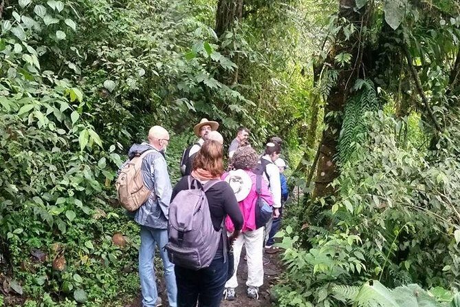 Full-Day Private Birding Tour in La Paz Refuge & Hummingbirds - Key Points