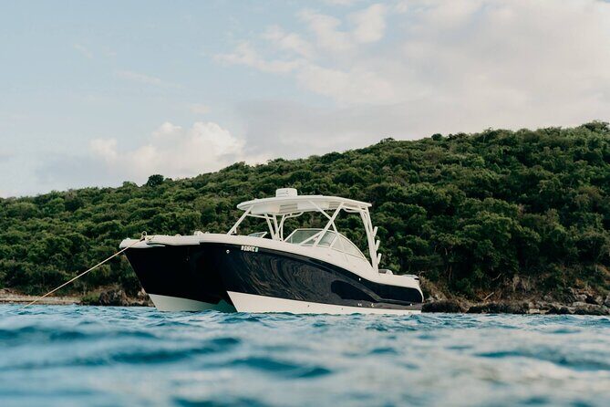 Full-Day Private Boat Charter from St. John or St. Thomas - What Sets This Tour Apart?