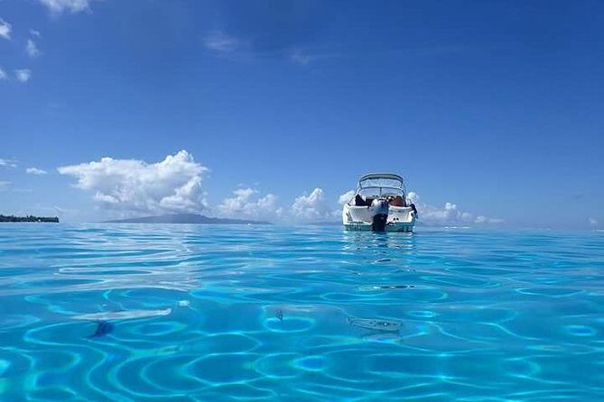 Full-Day Private Boat Tour of Bora Bora Lagoon with Snorkel - FAQ