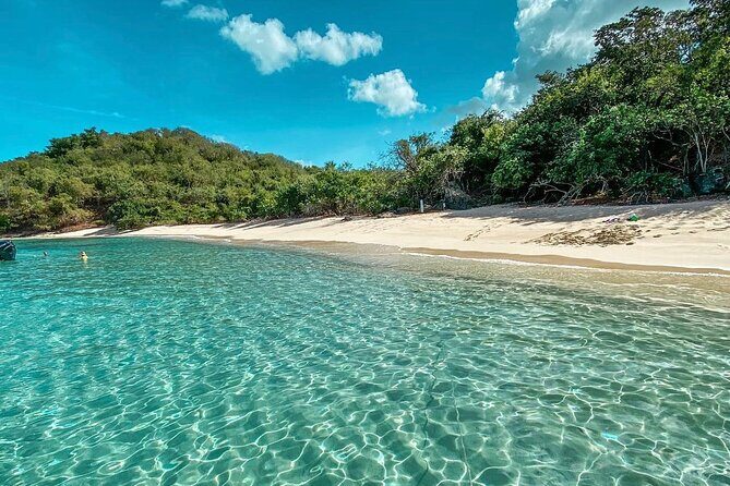 Full Day Private Boat Tour To Culebra - What Past Travelers Say