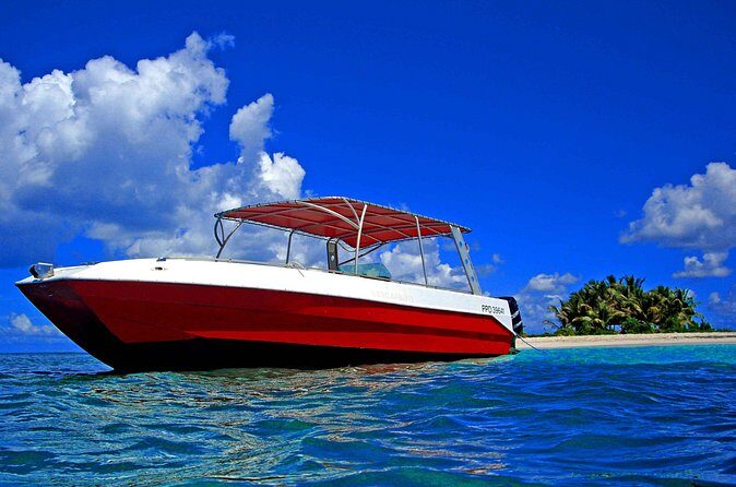 Full Day Private Boat Tour to the Lagoon of Guadeloupe - The Sum Up