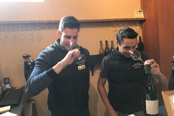 Full-day Private Burgundy Wine Route Tour from Beaune - Final Thoughts