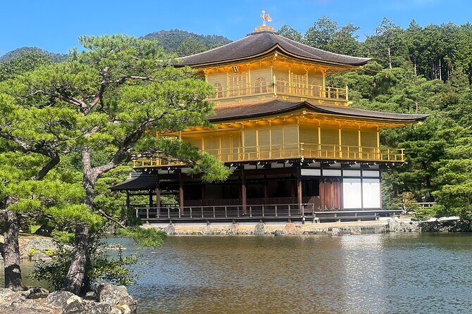 Full Day Private Car Tour in Kyoto - The Real Value of the Tour