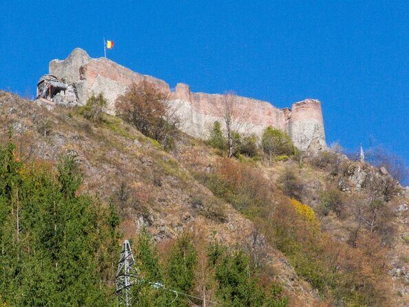 Full-Day Private Carpatian Garden with Dracula's Fortress - Wild Brown Bears - A Day to Remember: Exploring Romania’s Hidden Gems and Wild Brown Bears