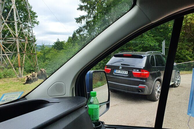 Full-Day Private Carpatian Garden with Dracula's Fortress - Wild Brown Bears - Final Thoughts