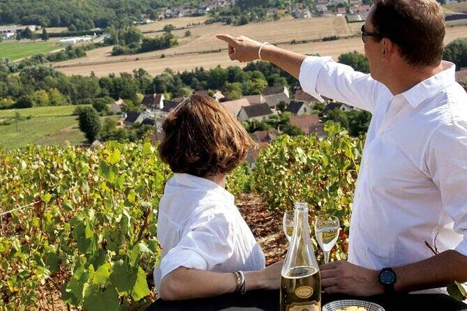 Full-Day Private Champagne Tasting in Reims and its Vineyards - A Private Day in Champagne: Reims and Its Vineyards