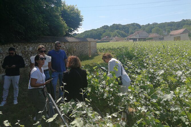 Full-Day Private Champagne Tasting in Reims and its Vineyards - A Relaxing French Lunch in the Countryside