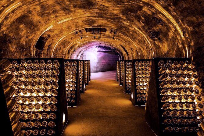 Full-Day Private Champagne Tasting in Reims and its Vineyards - Return to Paris: Wrapping Up the Day
