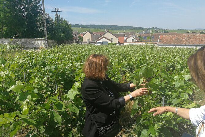 Full-Day Private Champagne Tasting in Reims and its Vineyards - Who Should Consider This Tour?