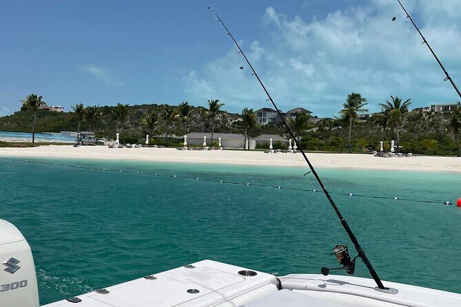Full Day Private Charter Bottom Fishing Experience - Key Points