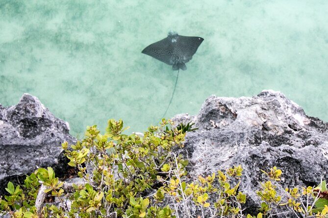 Full Day Private Charter - Frequently Asked Questions