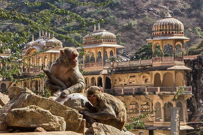 Full-Day Private City Tour of Jaipur - Key Points