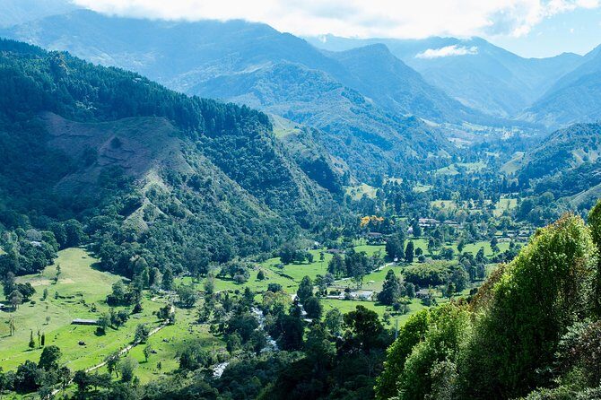 Full-Day Private Coffee Tour in Cocora Valley and Salento - Why This Tour is a Must-Do for Curious Travelers