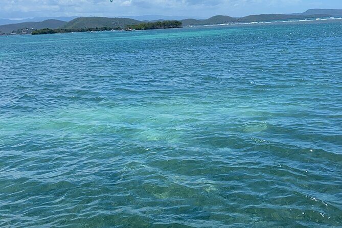 Full-Day Private Cruise in Cayo Caracoles - Discover the Charm of a Private Day Cruise in Cayo Caracoles