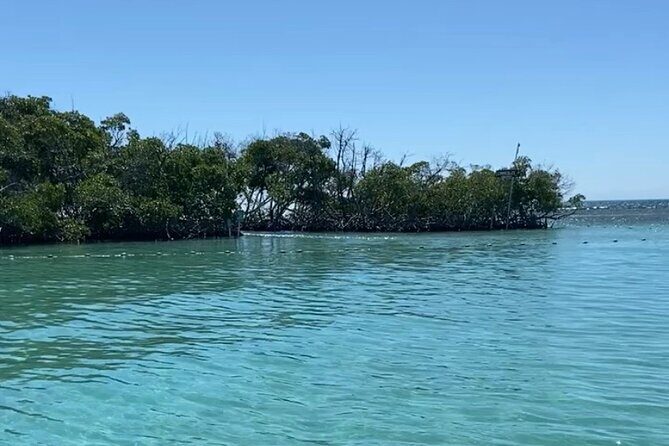 Full-Day Private Cruise in Cayo Caracoles - Who Will Love This Experience?