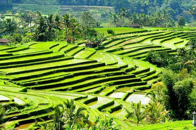 Full-Day Private Cultural Bali Tour + Balinese Driver - Frequently Asked Questions