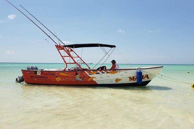 Full Day Private Deep Sea Fishing in Holbox - Key Points