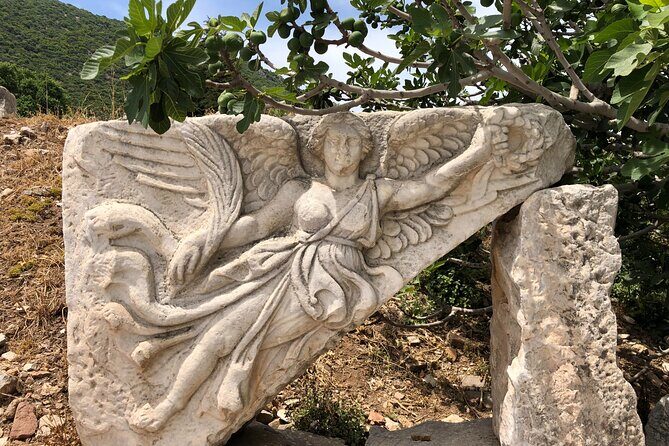 Full Day Private Ephesus Tour from Kusadasi Port - The Sum Up