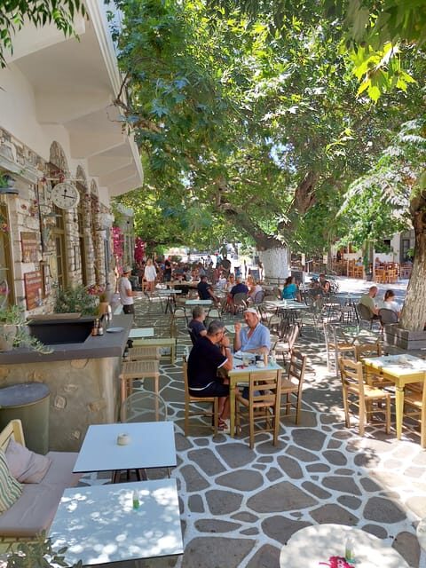 Full-Day Private food tour in Naxos local Villages - Who Will Love This Tour?