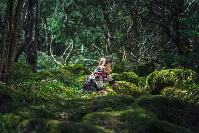Full-Day Private Golden Circle Photography Tour in Iceland - FAQ