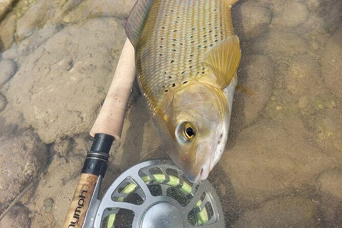 Full Day Private Guided Fishing Charter along the Isonzo Front - The Sum Up