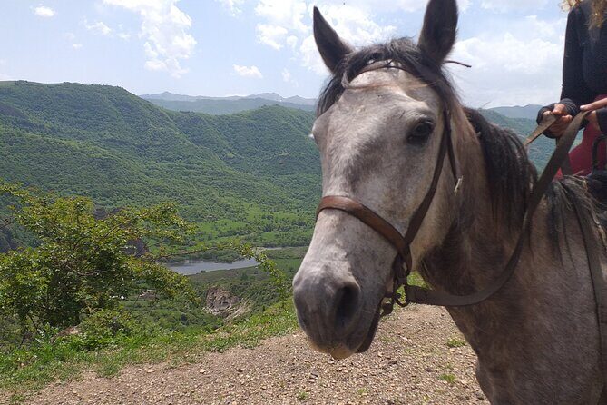 Full-day Private Guided Horseback Ride through Dzoraget Canyon - Frequently Asked Questions