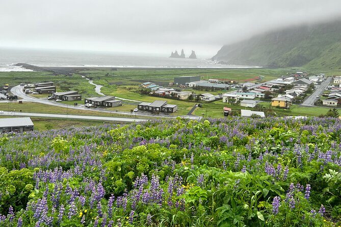 Full-Day Private Guided Tour in South Coast, Iceland - Final Thoughts