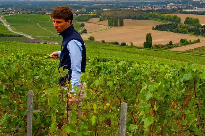Full-Day Private Guided Tour of Champagne wih Hotel Pickup - Key Points